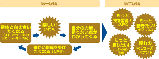 楽しい!だから続ける(入門A)→自分の力量、不足しているところがだんだん分かってくる→改善の為、細かい指導を受けたくなる(入門B)→もっと身体と向かい合いたくなる(ストレッチ、バレエヨガ、バーオーソルなどの多角的アプローチ)