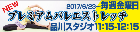 20176shinagawa_new_b-01-01
