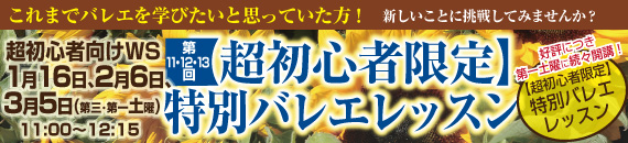 banner_beginner16010203